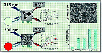 Graphical abstract: Polymer modified magnetic-luminescent nanocomposites for combined optical imaging and magnetic fluid hyperthermia in cancer therapy: analysis of Mn2+ doping for enhanced heating effect, hemocompatibility and biocompatibility