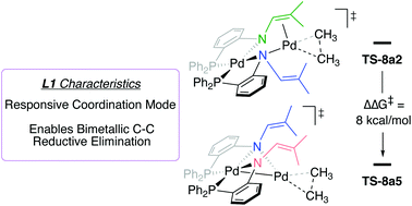 Graphical abstract: Changes in ligand coordination mode induce bimetallic C–C coupling pathways