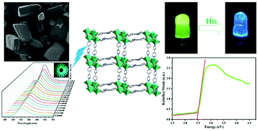 Graphical abstract: Turn-on and blue-shift fluorescence sensor toward l-histidine based on stable CdII metal–organic framework with tetranuclear cluster units