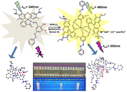 Graphical abstract: Two rhodamine-azo based fluorescent probes for recognition of trivalent metal ions: crystal structure elucidation and biological applications