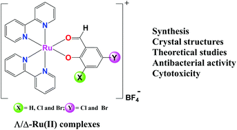 Graphical abstract: The effect of halogenation of salicylaldehyde on the antiproliferative activities of {Δ/Λ-[Ru(bpy)2(X,Y-sal)]BF4} complexes