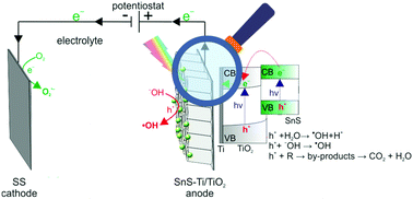 Graphical abstract: Solar-driven photoelectrocatalytic degradation of anticancer drugs using TiO2 nanotubes decorated with SnS quantum dots