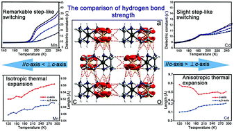Graphical abstract: A series of dynamic single crystals of [MII(en)3]SO4 (M = Ni, Mn, and Cd) shows tunable dielectric properties and anisotropic thermal expansion