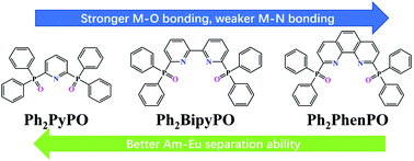 Graphical abstract: Theoretical unraveling of the separation of trivalent Am and Eu ions by phosphine oxide ligands with different central heterocyclic moieties
