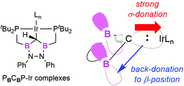 Graphical abstract: Synthesis and reactivity of PC(sp3)P-pincer iridium complexes bearing a diborylmethyl anion