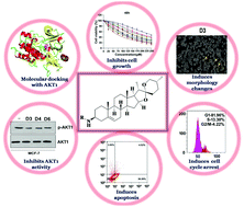 Graphical abstract: Diosgenin derivatives developed from Pd(ii) catalysed dehydrogenative coupling exert an effect on breast cancer cells by abrogating their growth and facilitating apoptosis via regulating the AKT1 pathway