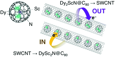 Graphical abstract: Comparison between DySc2N@C80 and Dy2ScN@C80 single-molecule magnetic metallofullerenes encapsulated in single-wall carbon nanotubes