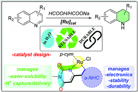 Graphical abstract: Water-soluble and reusable Ru-NHC catalyst for aqueous-phase transfer hydrogenation of quinolines with formic acid