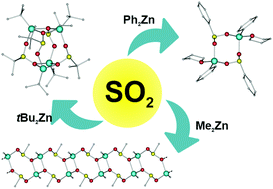 Graphical abstract: Exploring the reactivity of homoleptic organozincs towards SO2: synthesis and structure of a homologous series of organozinc sulfinates