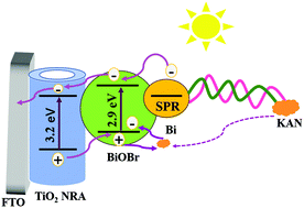 Graphical abstract: Preparation of Bi/BiOBr sensitized titania nanorod arrays via a one-pot solvothermal method and construction of kanamycin photoelectrochemical aptasensors