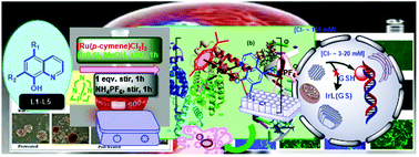 Graphical abstract: [Ru(η6-p-cymene)(N^O 8-hydroxyquinoline)(PTA)] complexes as rising stars in medicinal chemistry: synthesis, properties, biomolecular interactions, in vitro anti-tumor activity toward human brain carcinomas, and in vivo biodistribution and toxicity in a zebrafish model