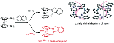 Graphical abstract: An isoindoline bridged [M(η6-arene)2]+ (M = Re, 99mTc) ansa-arenophane and its dinuclear macrocycles with axial chirality