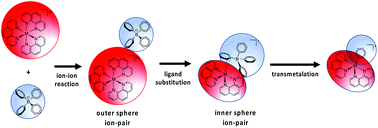 Graphical abstract: Ion-pairs as a gateway to transmetalation: aryl transfer from boron to nickel and magnesium