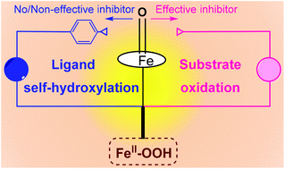 Graphical abstract: Which is the real oxidant in competitive ligand self-hydroxylation and substrate oxidation—a biomimetic iron(ii)-hydroperoxo species or an oxo-iron(iv)-hydroxy one?