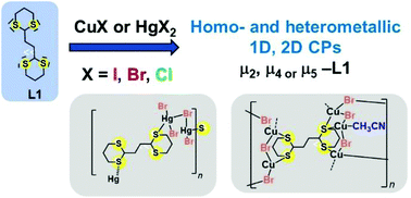 Graphical abstract: 2,2′-Ethylenebis(1,3-dithiane) as a polydentate μ2-, μ4- and μ5-assembling ligand for the construction of sulphur-rich Cu(i), Hg(ii) and heterometallic Cu(i)/Hg(ii) coordination polymers featuring uncommon network architectures