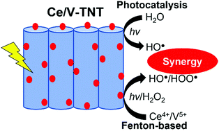 Graphical abstract: Contribution of photocatalytic and Fenton-based processes in nanotwin structured anodic TiO2 nanotube layers modified by Ce and V