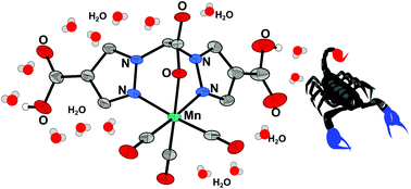 Graphical abstract: Bis(4-carboxylpyrazol-1-yl)acetic acid: a scorpionate ligand for complexes with improved water solubility