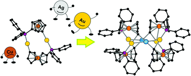 Graphical abstract: Metallation of a gold(i) metalloligand with P,C-bridging phosphinoferrocenyl groups enables the construction of defined multimetallic arrays