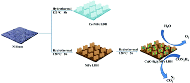 Graphical abstract: Role of Ce in the enhanced performance of the water oxidation reaction and urea oxidation reaction for NiFe layered double hydroxides