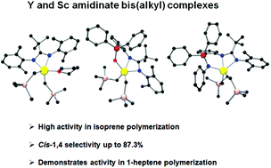 Graphical abstract: Sc and Y bis(alkyl) complexes supported by bidentate and tridentate amidinate ligands. Synthesis, structure and catalytic activity in polymerization of isoprene and 1-heptene
