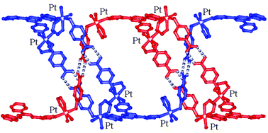 Graphical abstract: Supramolecular organometallic chemistry: the platinum(iv) paradigm
