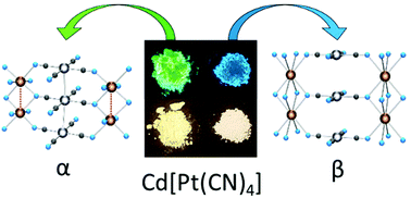 Graphical abstract: Highly emissive polymorphs of anhydrous cadmium tetracyanoplatinate and their solvated coordination networks