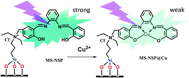 Graphical abstract: Preparation of a bis-Schiff base immobilized mesoporous SBA-15 nanosensor for the fluorogenic sensing and adsorption of Cu2+