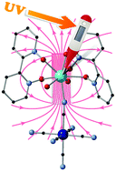 Graphical abstract: Luminescence thermometry and field induced slow magnetic relaxation based on a near infrared emissive heterometallic complex