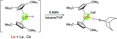 Graphical abstract: Reactivity studies on lanthanum and cerium hydrido metallocenes