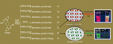 Graphical abstract: Seven Ln(iii) coordination polymers with two kinds of geometric coordination but the same 3D topological property: luminescence sensing and magnetic property