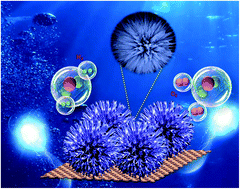 Graphical abstract: Construction of MnxCoyO4/Ti electrocatalysts for efficient bifunctional water splitting