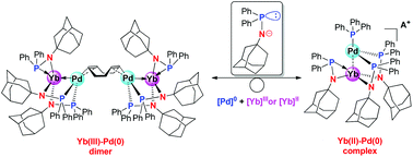 Graphical abstract: Phosphinoamido ligand supported heterobimetallic rare-earth metal–palladium complexes: versatile structures and redox reactivities