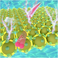 Graphical abstract: A yolk–shell structure construction for metal–organic frameworks toward an enhanced electrochemical water splitting catalysis