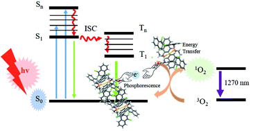 Graphical abstract: Aggregation of gold(i) complexes: phosphorescence vs. singlet oxygen production