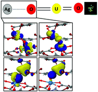 Graphical abstract: A spectroscopic, structural, and computational study of Ag–oxo interactions in Ag+/UO22+ complexes