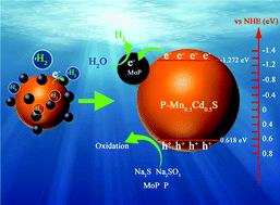 Graphical abstract: The highly improved hydrogen evolution performance of a 0D/0D MoP-modified P-doped Mn0.5Cd0.5S photocatalyst