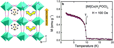 Graphical abstract: Structural, magnetic and photoluminescence properties of new hybrid hypophosphites: discovery of the first noncentrosymmetric and two cobalt-based members