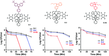 Graphical abstract: GaIIItriarylcorroles with push–pull substitutions: synthesis, electronic structure and biomedical applications