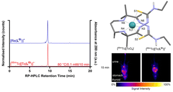 Graphical abstract: Hexadentate technetium-99m bis(thiosemicarbazonato) complexes: synthesis, characterisation and biodistribution