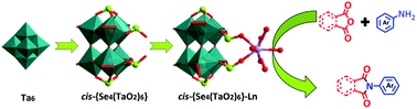 Graphical abstract: Three rare-earth incorporating 6-peroxotantalo-4-selenates and catalytic activities for imidation reaction