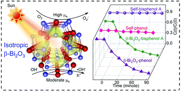 Graphical abstract: Sunlight driven isotropic β-Bi2O3 with high charge-carrier mobility for the efficient degradation of bisphenol A and phenol
