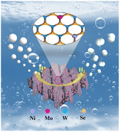 Graphical abstract: meta-Position synergistic effect induced by Ni–Mo co-doped WSe2 to enhance the hydrogen evolution reaction