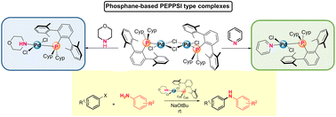 Graphical abstract: LPdCl2(amine) complexes supported by terphenyl phosphanes: applications in aryl amination reactions