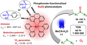 Graphical abstract: Ruthenium(ii) complexes with phosphonate-substituted phenanthroline ligands: synthesis, characterization and use in organic photocatalysis