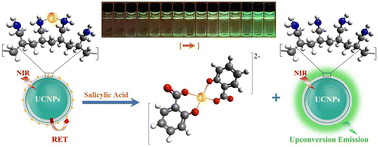 Graphical abstract: Poly(allylamine)-copper(ii) coordination complex grafted on core@shell upconversion nanoparticles for ultrafast and sensitive determination of the phytohormone salicylic acid in plant extracts