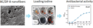 Graphical abstract: Zeolitic imidazolate framework-8/bacterial cellulose composites for iodine loading and their antibacterial performance