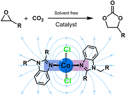 Graphical abstract: Single-molecule magnet behaviour and catalytic properties of tetrahedral Co(ii) complexes bearing chloride and 1,2-disubstituted benzimidazole as ligands