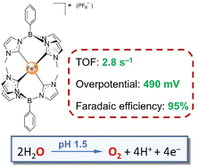 Graphical abstract: Iron–N-heterocyclic carbene complexes as efficient electrocatalysts for water oxidation under acidic conditions