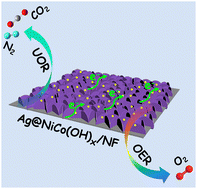 Graphical abstract: Silver decorated nickel–cobalt (oxy)hydroxides fabricated via surface reconstruction engineering for boosted electrocatalytic oxygen evolution and urea oxidation
