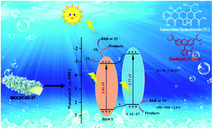 Graphical abstract: In situ synthesis of novel type II BiOCl/CAU-17 2D/2D heterostructures with enhanced photocatalytic activity